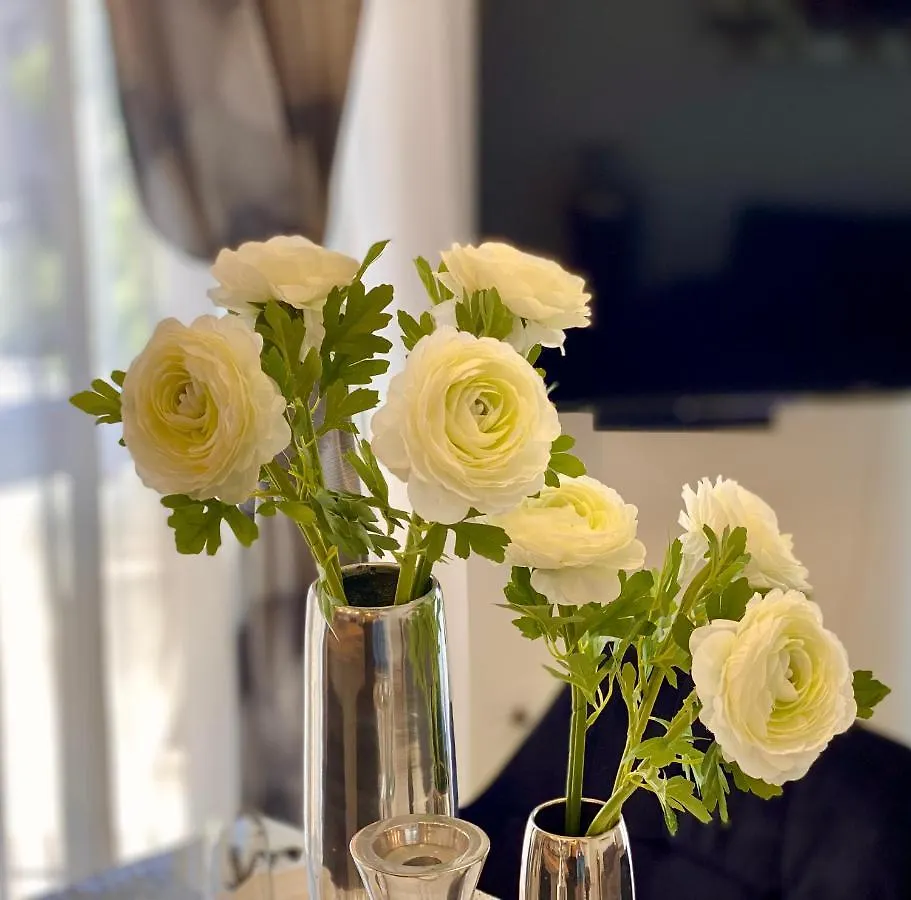 PUY Apartman Sogni D'Oro 아파트